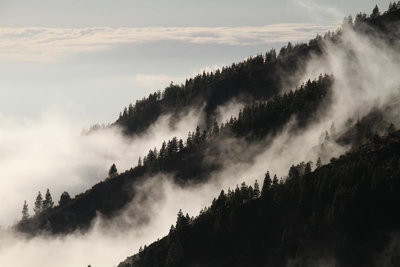 Foggy Road